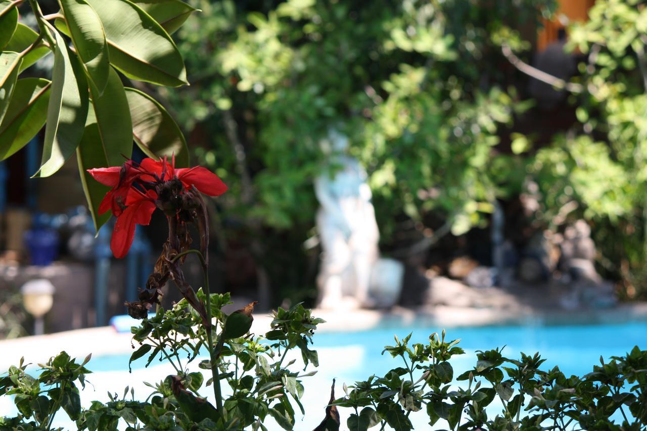 Hotel Tikay 3*